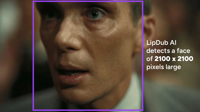 closeup_part1 (1)